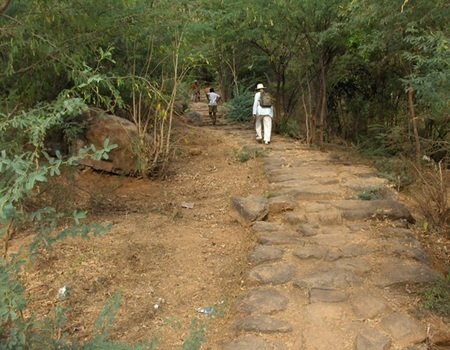 Virubaksha cave Tiruvannamalai